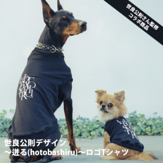 【世良公則さん監修・コラボ商品】世良公則デザイン 〜迸る（hotobashiru）〜 ロゴTシャツ【送料無料】